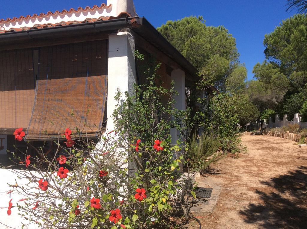 Villa Chia Aloe&Cactus Exterior foto